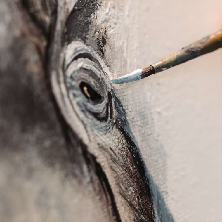 Pinsel am Auge des Elefanten